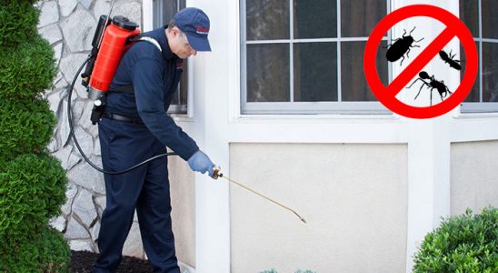 Gündoğmuş Bit İlaçlama böcek ilaçlama ve haşere kontrolü — ilaclama-tr.com